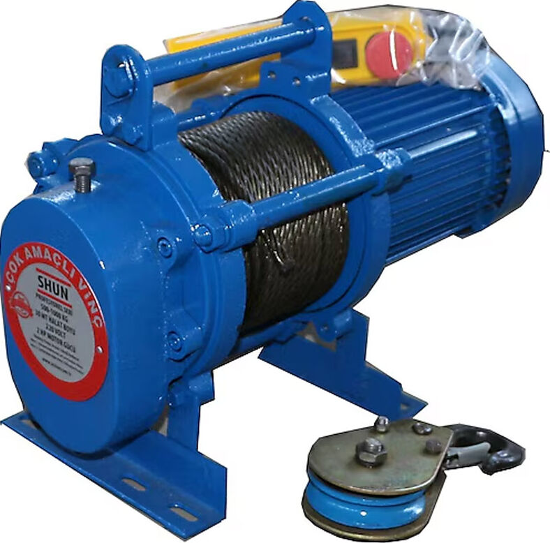 Shun 1000 kg Profesyonel Vinç 220 Volt 50 Metre